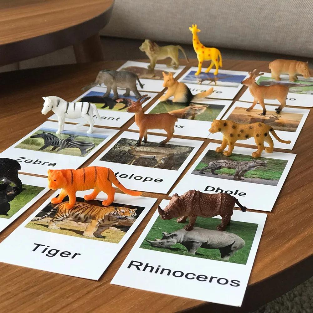 Model Educational Kid Dinosaur Ocean Animal Figures Biology English Flash Cards Matching Game Sensory Montessori Baby Toy