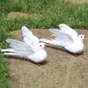 White Dove Feathers for Wedding & Home Decoration Props
