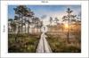 Photomural Wooden Path In The Forest Washable Fleece 104x70.5
