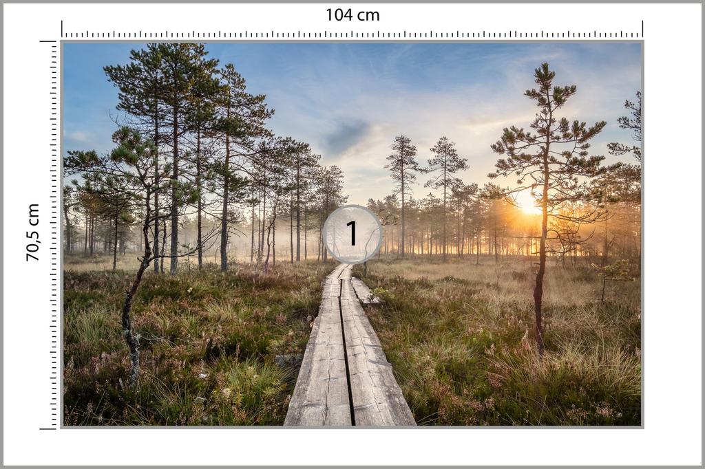 Photomural Wooden Path In The Forest Washable Fleece 104x70.5