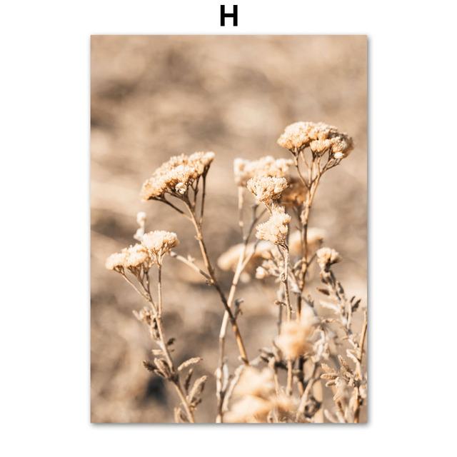 Reed Dandelion Flower Shell Sand Forest Wall Art Canvas Painting Nordic Posters And Prints Wall Pictures For Living Room Decor