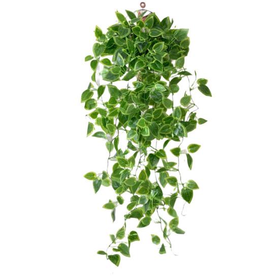 Beautiful Artificial Plant Non-Withered Plastic Decorative