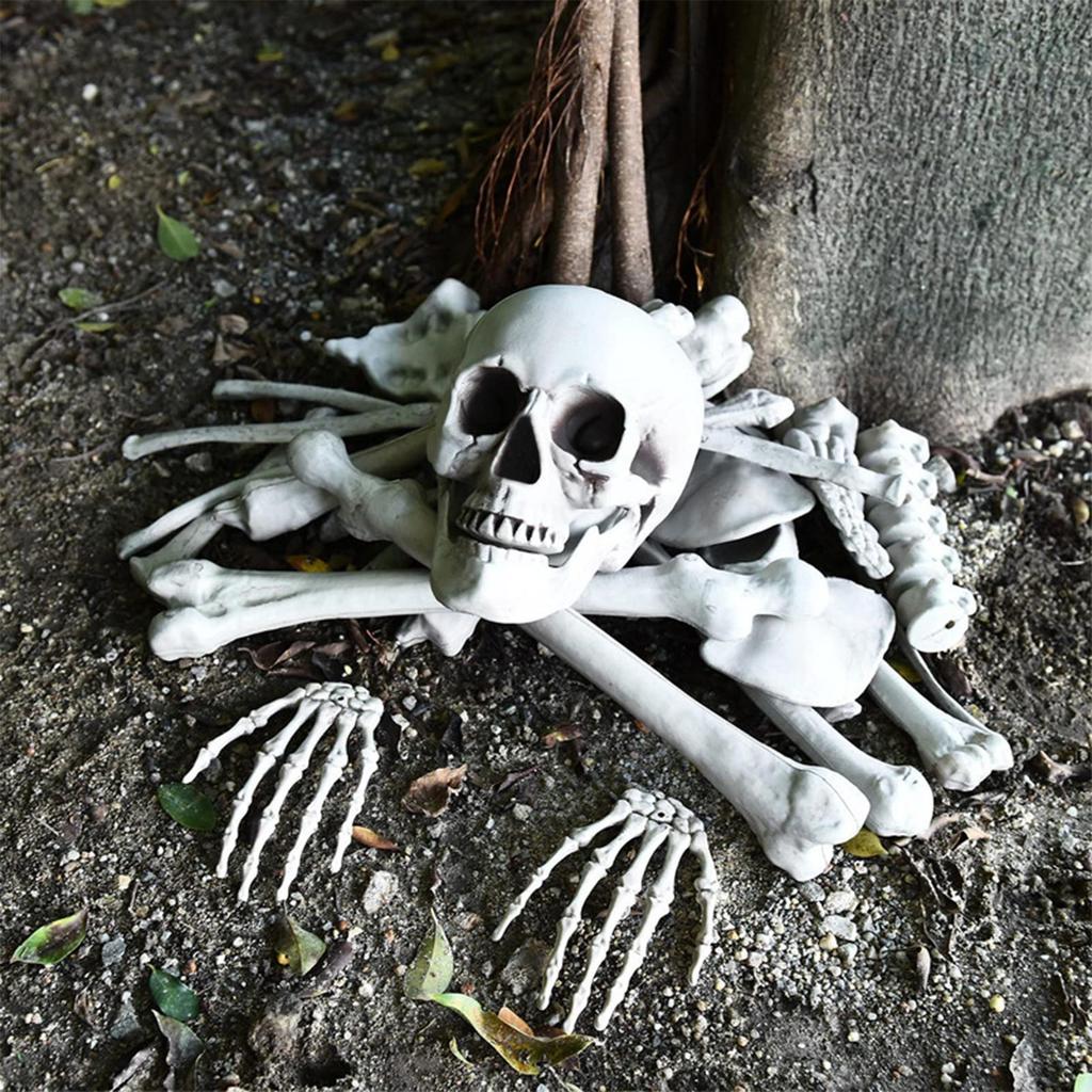 Theme Party Props, Party Decorations, Human Skeletal Anatomy Decorations