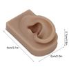 Silicone Ear Model Soft Flexible Right Ear Reusable Human Ear Model for Ear Piercing Training And Earrings Display