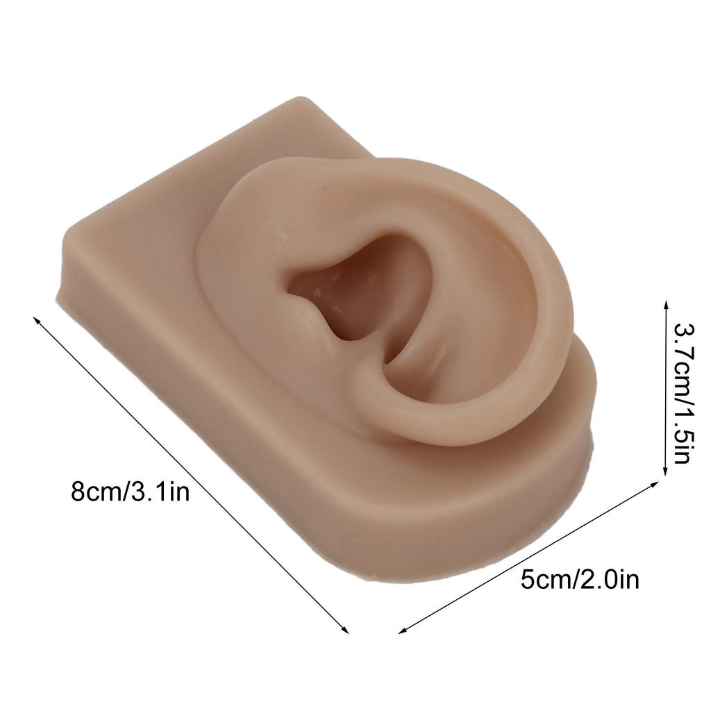 Silicone Ear Model Soft Flexible Right Ear Reusable Human Ear Model for Ear Piercing Training And Earrings Display