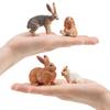 TOYMANY 12PCS Rabbit Figurines Animal Figurines Rabbit Models Realistic Animal Models Popular Animal Toys