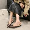 Fashion Shoes Female 2024 Sexy Pointed Toe Female Mules Fashion Warm Women's Fur Slippers Comfortable Square Heel Winter Daily Slippers
