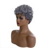 Synthetic Short Afro Curly Wig Old Grey Hair for Black Women Daily Cosplay Halloween Party Use Fluffy and Elastic Hairstyle