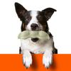 Puppies Toys for Teething -Soothes Itchy and Painful Teeth -360°Cleaning Mouth