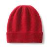 Spot European and American autumn and winter new cashmere hats men's and women's casual cold hats warm wool hats