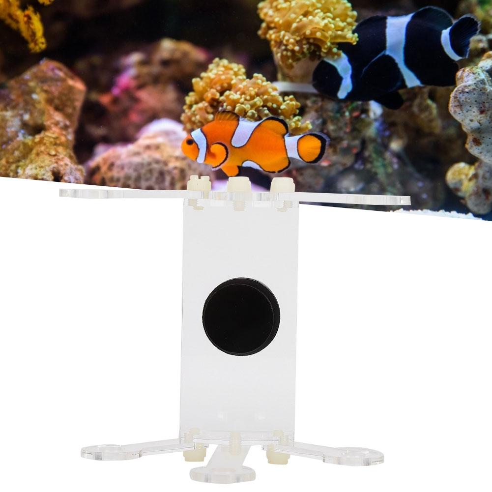6 Hole Aquarium Fish Tank Coral Rack Bracket Acrylic Coral Frag SPS Rack Bracket