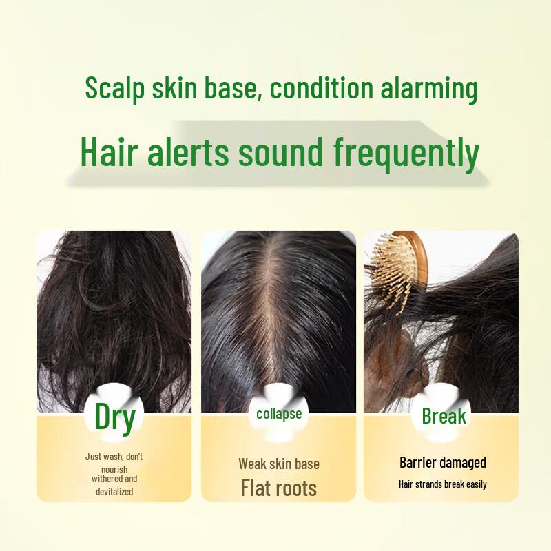 SUPER MiLD Botanical Hair Care Shampoo Gift Set