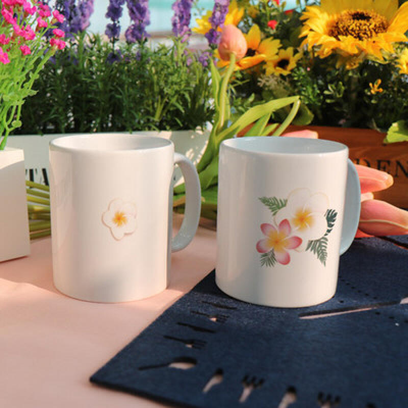 

tb971-Design Mug 2p-Plumeria