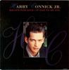 7inch Record HARRY CONNICK JR.  Recipe For Love  It Had To Be You 6568907 Columbia 1991 UK Jazz Used