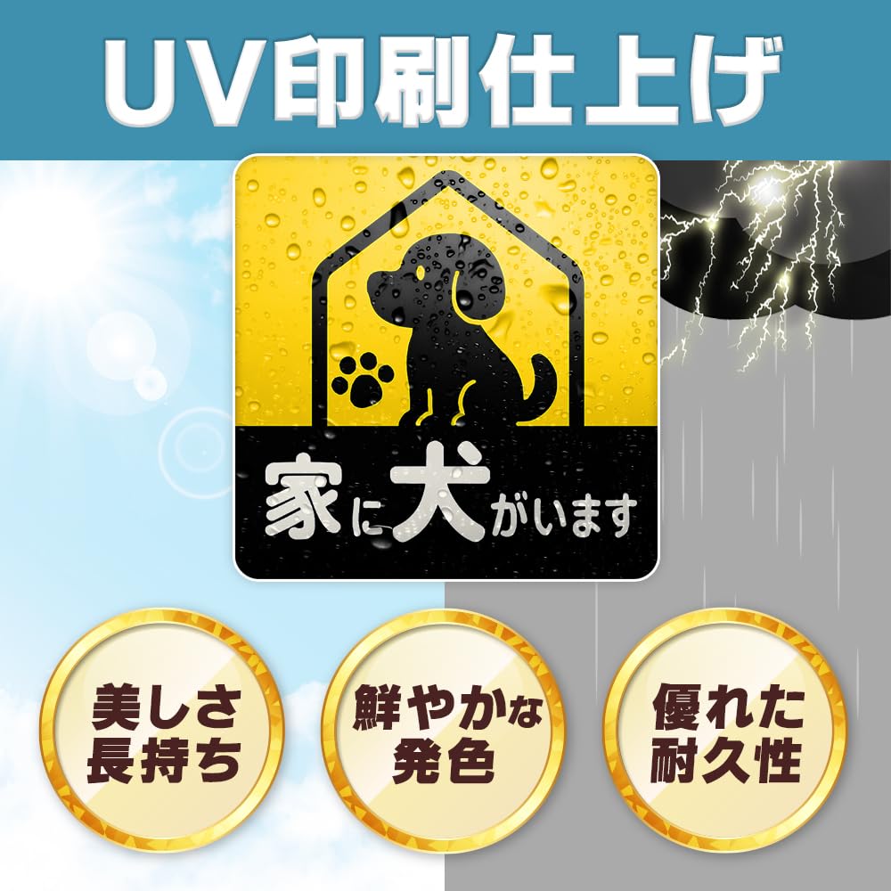 Pies w domu Naklejka magnetyczna Pies Samochód Odblaskowy Nocny blask Ochrona podczas jazdy Odstraszający Zabawny