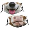 [KEKVE] Set of 2 Shiba Inu and Horse Masks, Fun and Unique Design, Perfect for Cosplay, Halloween, Parties, and Costumes