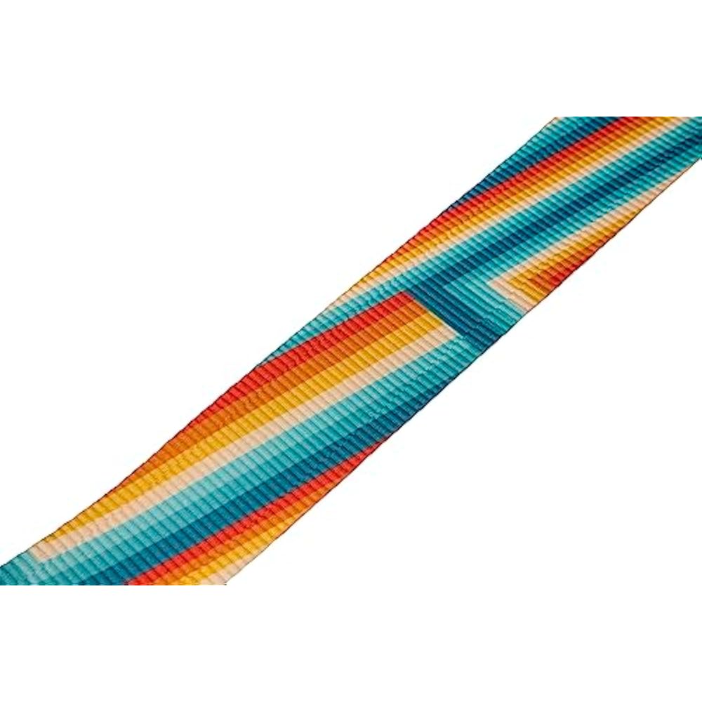 Fender/Retro Rainbow Strap Fender [Guitar Strap]