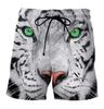 Men's Cute Dog 3D Printing Summer New Casual Vacation Beach Fun Animal Pattern Sports Shorts