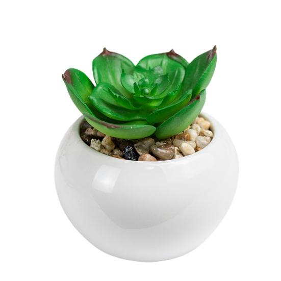 Fake Plants Mini Realistic Wide Application High Quality Natural Vivid Multi-style Artificial Succulents Bonsai for Living Room