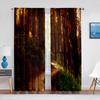 2panels Woodland Forest Foliage Sunbeams Nature View Curtains for Living Room Bedroom Kitchen Decor Sheer Curtains Window Drape