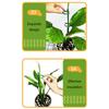 Plant Support Stakes Adjustable Plastic Plant Cage Garden Plant Stakes Plant