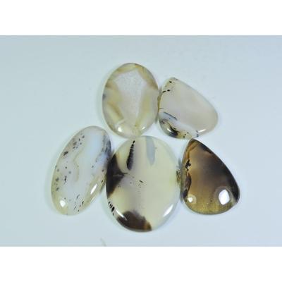 201 Karat. Natürlicher Botswana-Achat Mix Cabochon Lose Edelsteine 5 Stück Los A-676