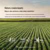 Mercury Home Textiles Soybean Quilt