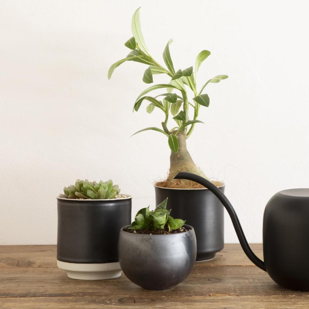 Leaf88 Flower Pot 3 Diameter 10x Height 7cm 3 Gray Made In Japan Mikawachi Ware No. No.