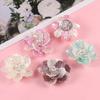 1/5Pcs ABS Pearl Camellias Flowers, for Dress Bags Shoes Brooch Bead Jewelry, and DIY Decorative Accessories