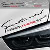 Accesorii de exterior – Autocolante pentru auto