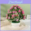 Lycopersicon Esculentum Var Potted Plant Artificial Decor For Wedding And Home Decoration
