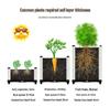 Thickened Plastic Vegetable & Flower Planter Box for Balcony, Indoor, Terrace, or Courtyard