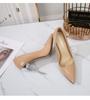 Fashion Pointed-Toe Large-Size High-Heeled Shoes Nightclub Sexy Thin Heeled Professional Women's Shoes WZ-18085-1
