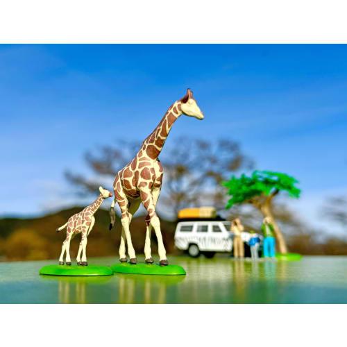 TOMYTEC Kaiyodo x Tomica Limited Vintage DioColle 64 #CarSnap 28a Safari 1 (Includes Toyota Land Cruiser FJ56V) ABS Resin and PVC Figure and Accessori