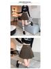 Petite High-Waist Grey Pleated A-line Skirt for Women - Spring/Autumn/Winter 2026 Fashion