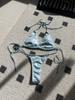 New sexy T-shaped split shiny bikini bikini