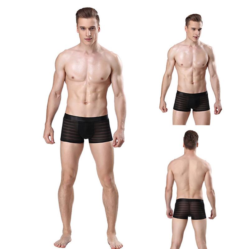 1Pc Men Panties Nylon Solid Color Sheer Mesh Pouch Lingerie Boxer Sexy Underwear Briefs