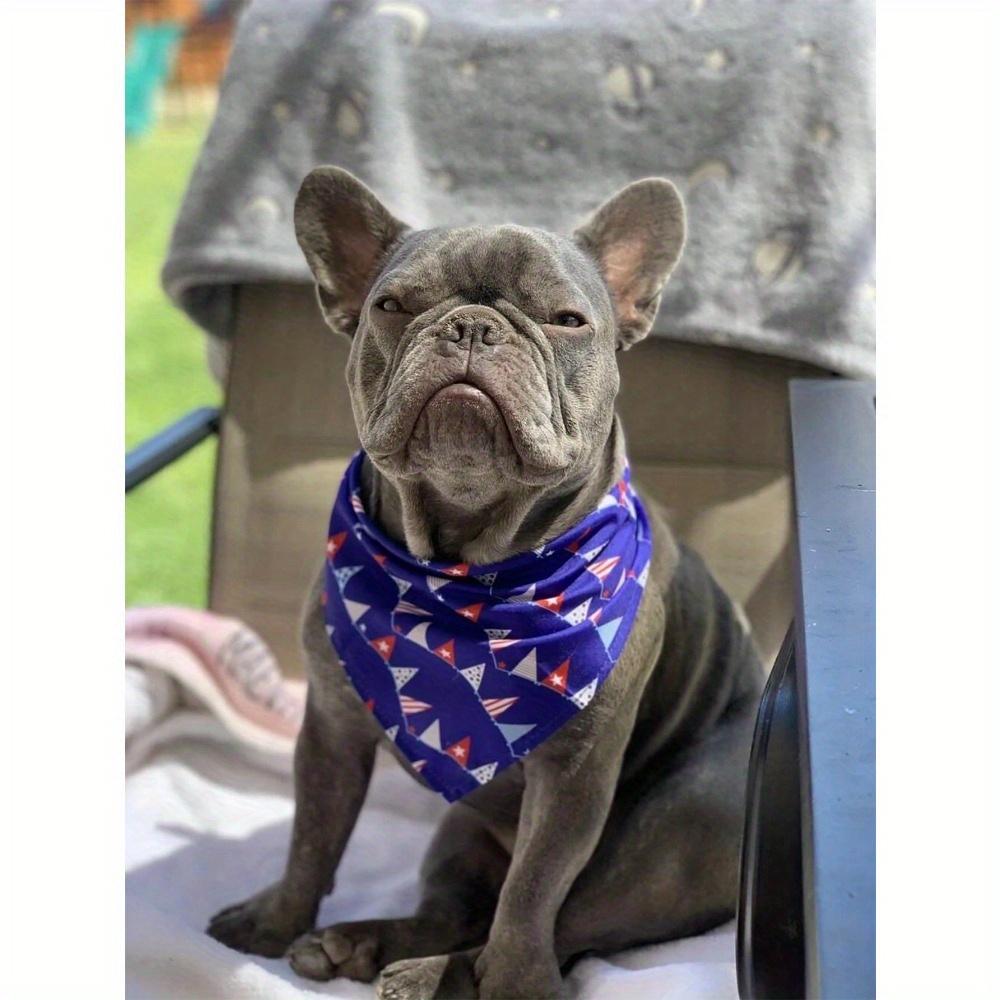 65cm Extra Large Independence Day Pet Triangle Bandana, American Flag Print Dog Bib, Cat Dog Scarf