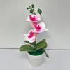 Compact Design Fake Flower Plant Phalaenopsis Bonsai Easy To Style