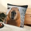 Capybara Cushion Cover Soft Short Plush Pillow Cover Smooth Cozy Texture Aesthetic Cushion Case Home Decor