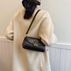 Niszowa Moda Zimowa 2025 Torba Damska Mała Kwadratowa Prosta Trend Wszechstronna Nowa Na Ramię Casualowa Torba Damska