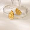 Free Shipping Luxury Cubic Zirconia Fire Stud Earring for Women Stainless Steel Piercing Earring 2025 Fashion Wedding Zircon