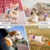 Reble Dog Diapers Female Washable, Premium Doggie Diaper for Dogs, Pack of 3, Highly Absorbent Small Dog Diaper for Heat, Incontinence and Puppy