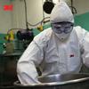 3M Chemical Protective Clothing 4520 L, Lightweight Breathable EN Standard Compliant (Type 5/6)