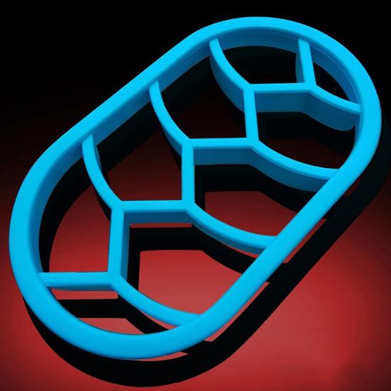 2Pcs/Set Bread Molds Circular Oval Fan Shaped Easy Demould Non-sticky Baking