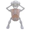 Glow In The Dark Dancing Skeleton Toy With Sound Fun Decoration Decompression Skeleton Figurine For Boys Kids