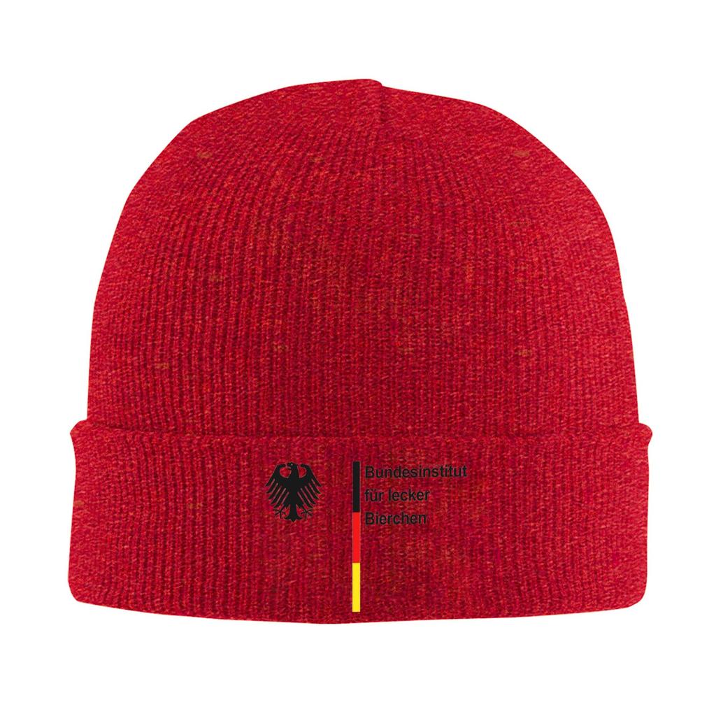 Vintage German-Federal Institute for Delicious Beers Beanie Hats  Bonnet Hats Unisex Women Skullies Beanies Autumn Head Wrap Caps