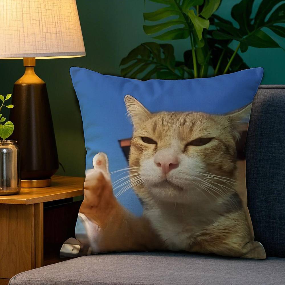 

Подушка Смешные Мемы с Котами Наволочка Защита от Пылевых Клещей Наволочка Невидимая Молния Шелковистый Короткий Плюш Чехол для Подушки Дивана 12x12Inch