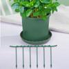 Green Garden Climbing Trellis for Roses Peonies and Cone Flowers 6PCS