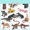 Realistic Plastic Forest Animal Model Collection Featuring Cute Static Mice Frogs Crocodiles Koalas And Skunks